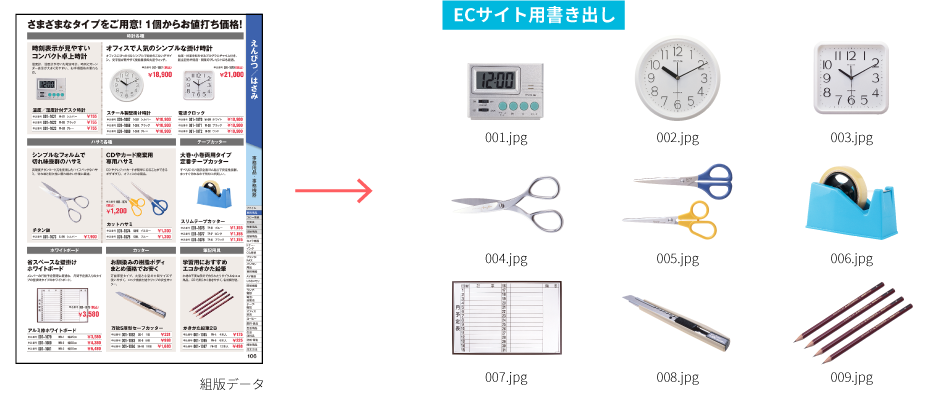 画像の抽出 変換 加工 Echointec