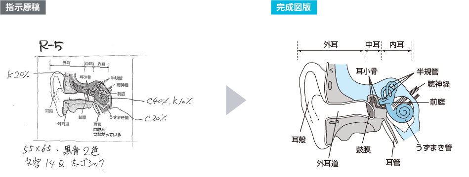 教材図版の作成 トレース 加工 Echointec 教材図版の作成 トレース 加工 Echointec