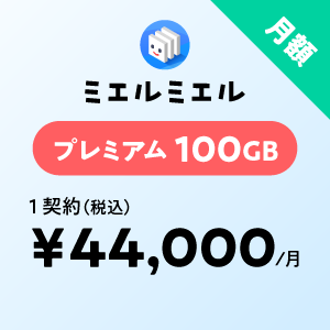 100GB価格